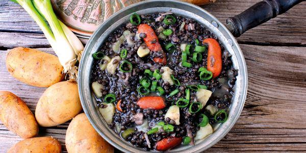 Belugalinsen Belugalinsen