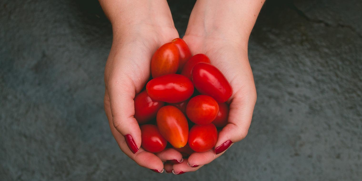 rafael-correa-HDbIauZbBzs-unsplash rafael-correa-HDbIauZbBzs-unsplash